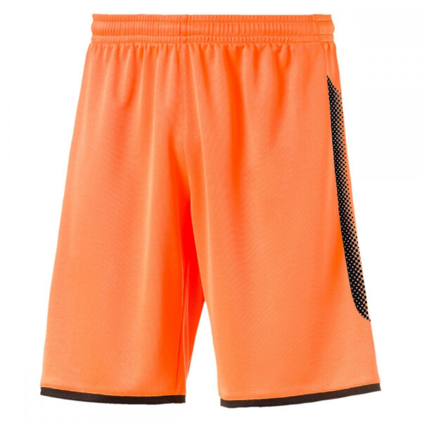 MG-238 Men Workout Shorts