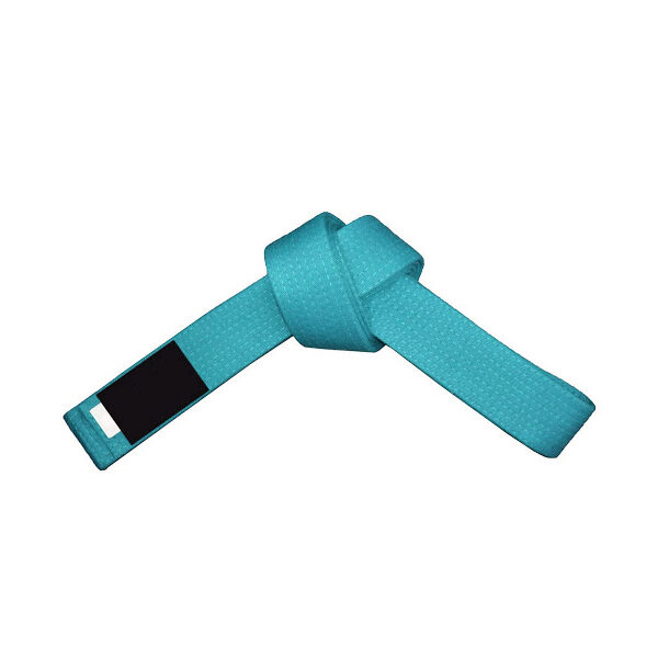 MG-320 Belt